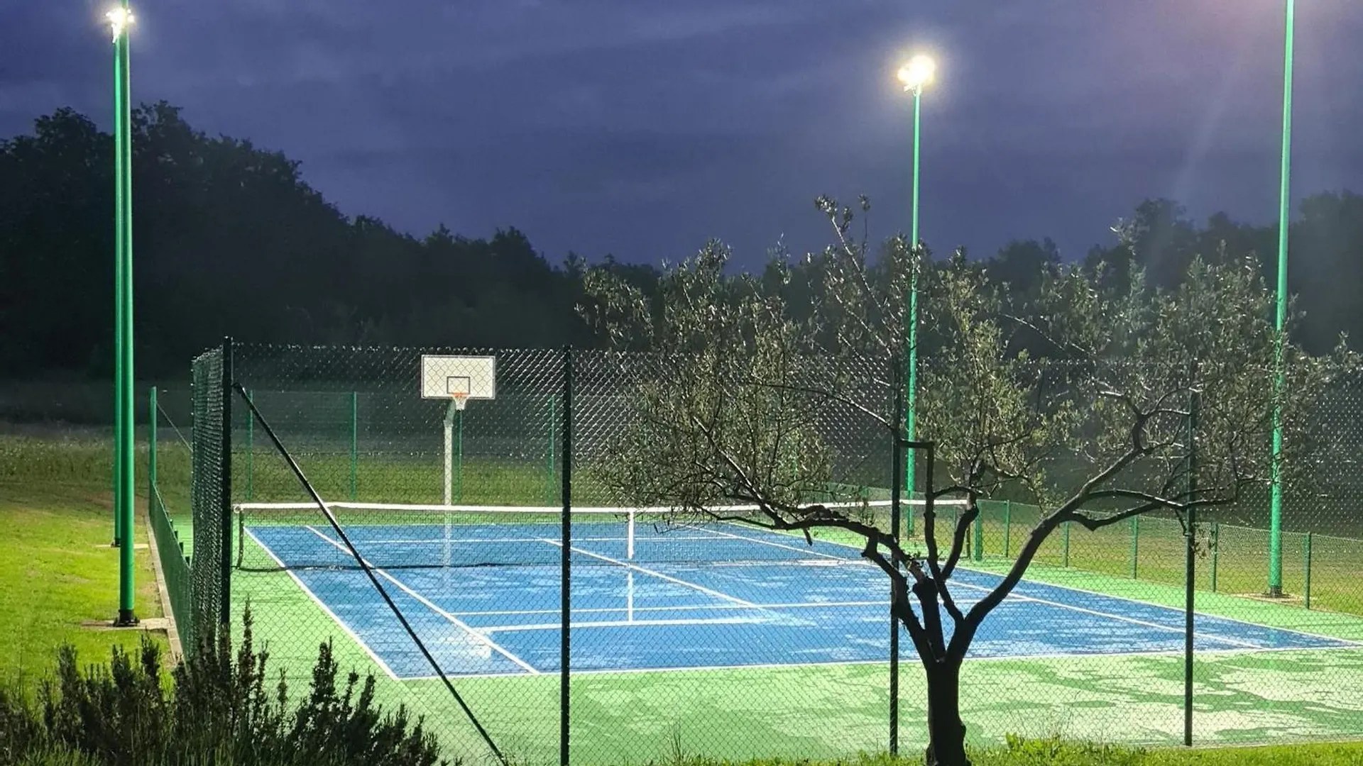 Vila Vesna Branka Pićan